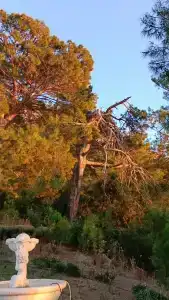 Garcia Resort & Spa - Ultra All Inclusive - 52