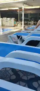 Kleopatra Atlas - Adults Only - 52