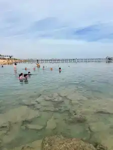 The Grand Sharm El Sheikh - 67