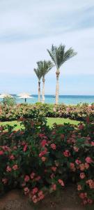 Sunny Days El Palacio Resort & Spa - 63