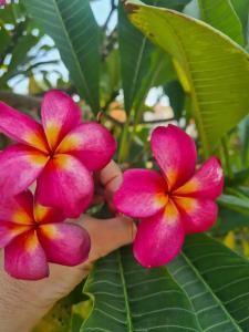 Xperience Kiroseiz Parkland - 86