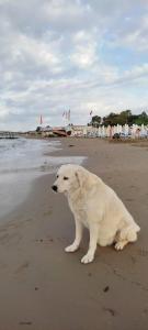 Armas Bella Sun - 93