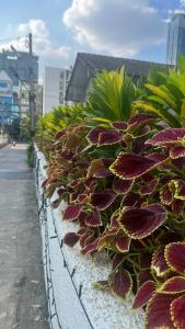 Golden Tulip Sovereign Bangkok - 49