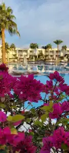 Sharm Reef Resort - 18