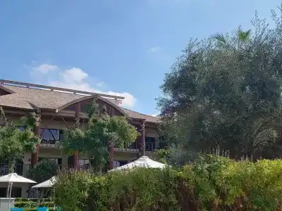 Lapita, Dubai Parks and Resorts, Autograph Collection - 69