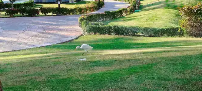 Xperience Kiroseiz AquaPark Premier-Naama Bay - 53