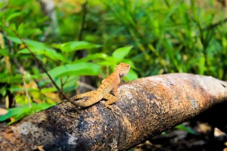 Long Set Resort - 30