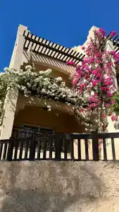 The Grand Sharm El Sheikh - 7