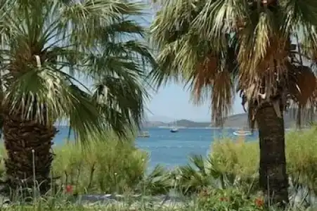 Sami Beach- All Inclusive - 59