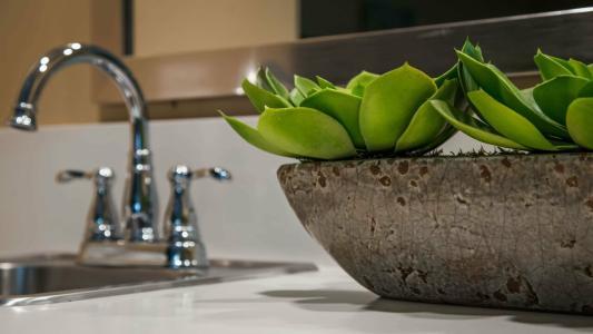 Best Western Plus South Coast Inn - 17