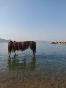 Yasmin Bodrum Resort - 86