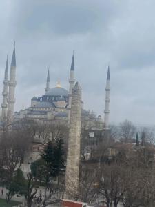 Fehmi Bey - Special Category - 2