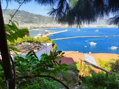Villa Turka - 33