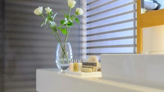 Alexander Beach & Spa - 12