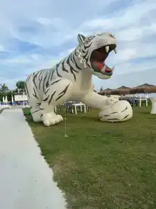 Loxia Comfort Club Side - 1