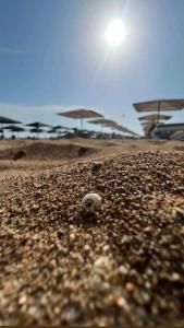 Sentido Kamelya Selin Luxury Resort & Spa - 23