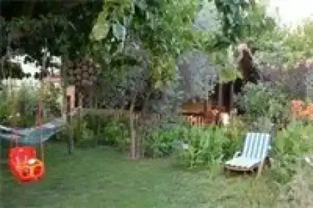 Caretta Caretta Pension - 58