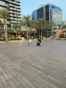 Adagio Premium The Palm - 82