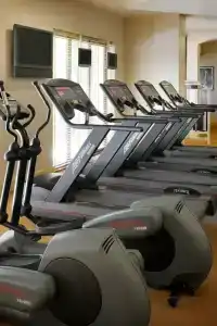 Dead Sea Marriott Resort & Spa - 46