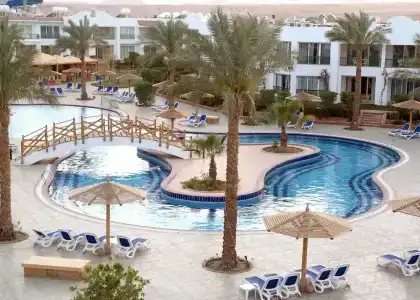 Panorama Naama Heights - 72
