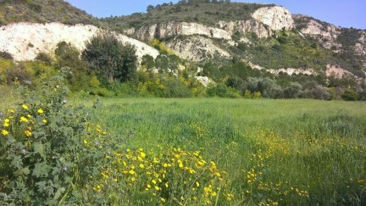 Stratos ArtDeco House - 19