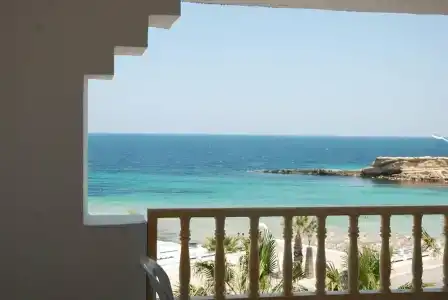 El Habib Monastir - 27