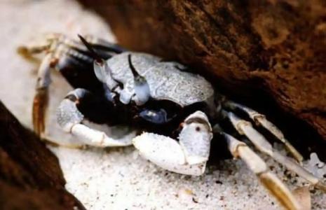 Koh Talu Island Resort - 69