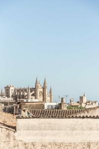 Concepcio by Nobis, Palma, a Member of Designs - 65