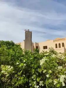 Parrotel Lagoon Waterpark Resort - 99