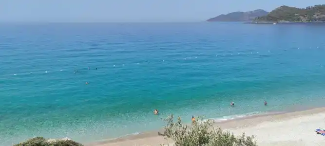 Beyaz Yunus - Adult Only - 67