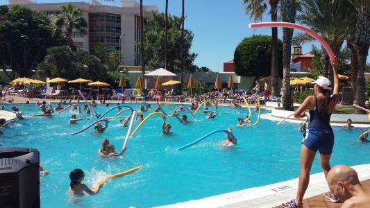 Spring Bitácora - 59