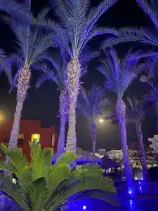 Sun & Sea and Aqua Park - Hurghada - 9