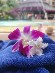 Novotel Phuket Vintage Park Resort - 52