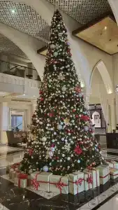 Sheraton Sharjah Beach Resort and Spa - 60
