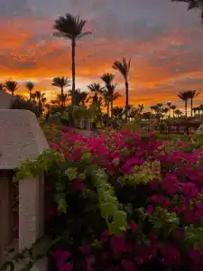Parrotel Beach Resort - 87