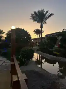 Sunrise Mamlouk Palace Resort - 78