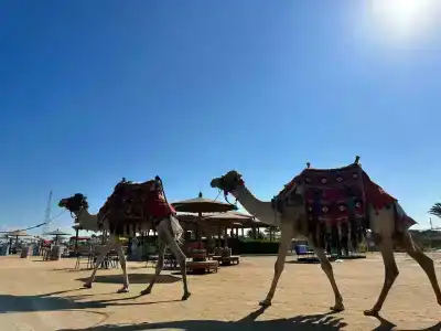 Hurghada Long Beach Resort - 46