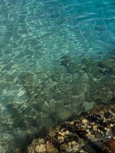 Sunrise Holidays Resort -Adults Only - 95