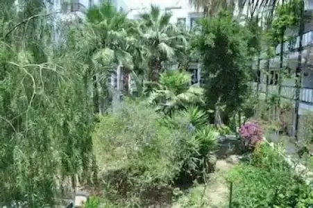 Sami Beach- All Inclusive - 81