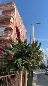 Kleopatra Ramira - All Inclusive - 52