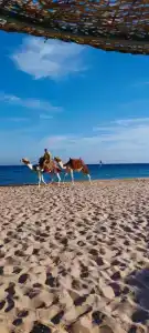 Shams Safaga Resort - 3