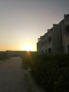 Viva Blue Resort and Diving Sharm El Naga (Adults Only) - 92