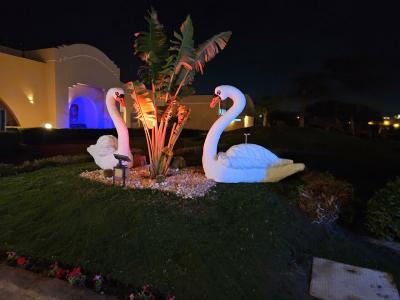 Ali Baba Palace -Families and Couples Only- - 96