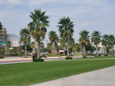 Clifton International - 62