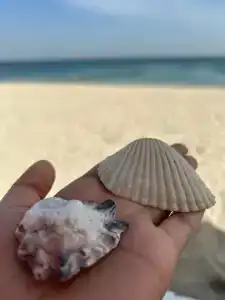 Radisson Blu Resort, Fujairah - 51