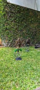 Pullman Pattaya G - 80