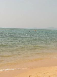 Rabbit Resort Pattaya - 33