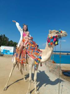King Tut Aqua Park Beach Resort - 13