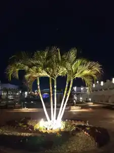 Dreams Vacation Resort - Sharm El Sheikh - 13