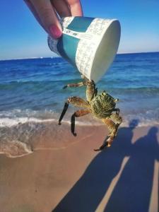 Blend Club Aqua Resort - 48